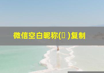 微信空白昵称(ㅤ )复制